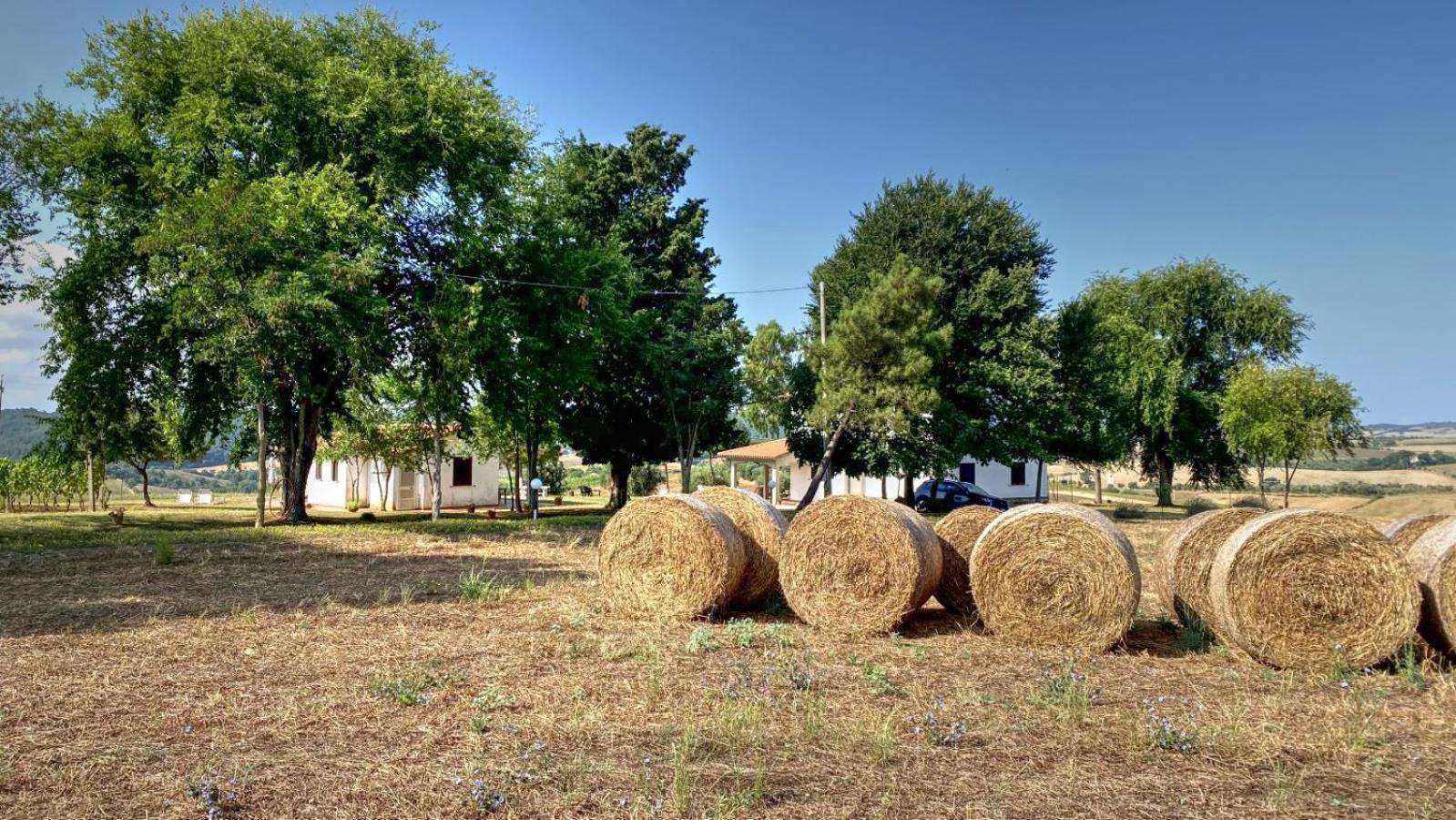 Agriturismo Uliveto Gretacci Montemerano Buitenkant foto