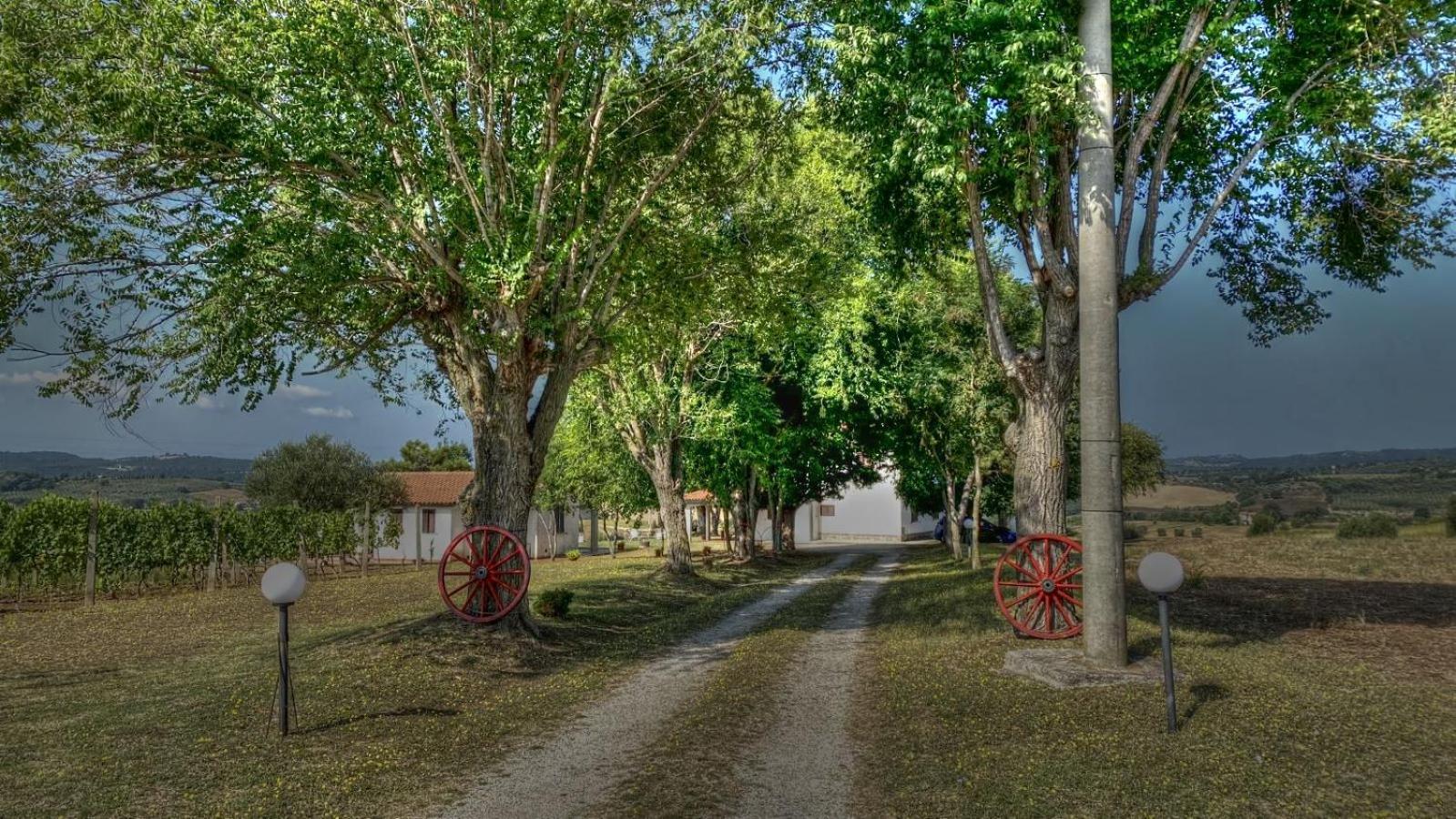 Agriturismo Uliveto Gretacci Montemerano Buitenkant foto